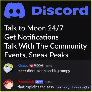 Moonlash chatting on Discord